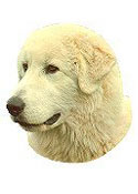 Maremma Stickers