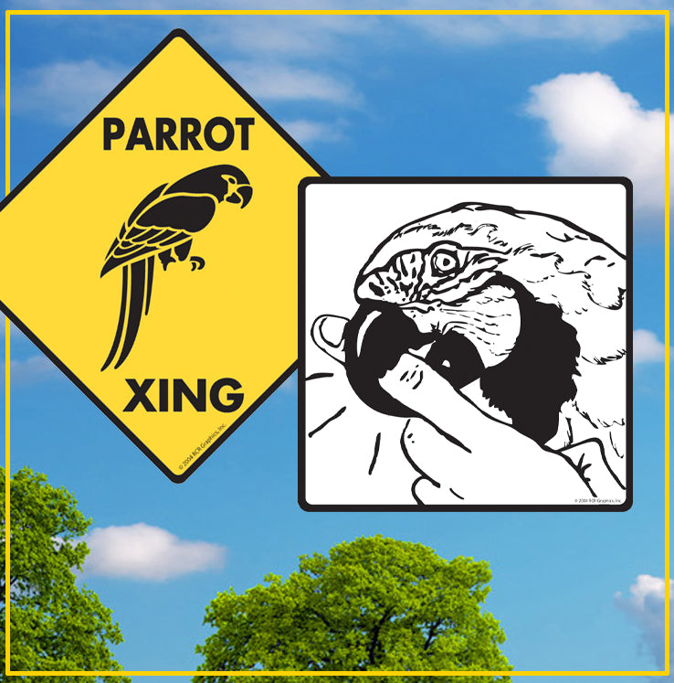 Birds