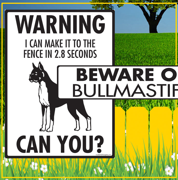 Boxer to Bullmastiif