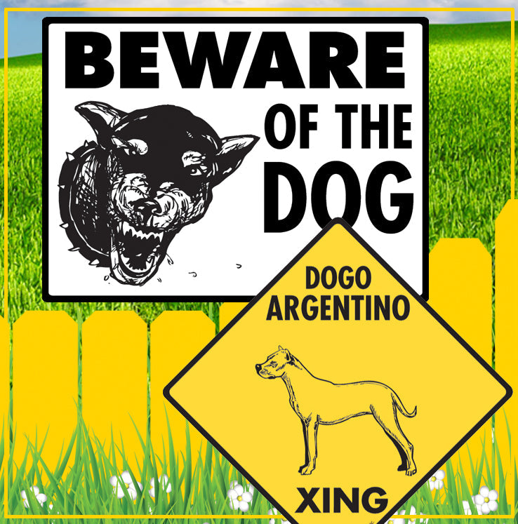 Cocker Spaniel to English Cocker Spaniel