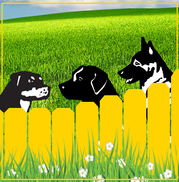 Specific Dog Breed