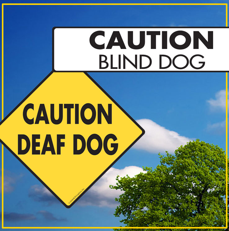 Handicap - Deaf/Blind