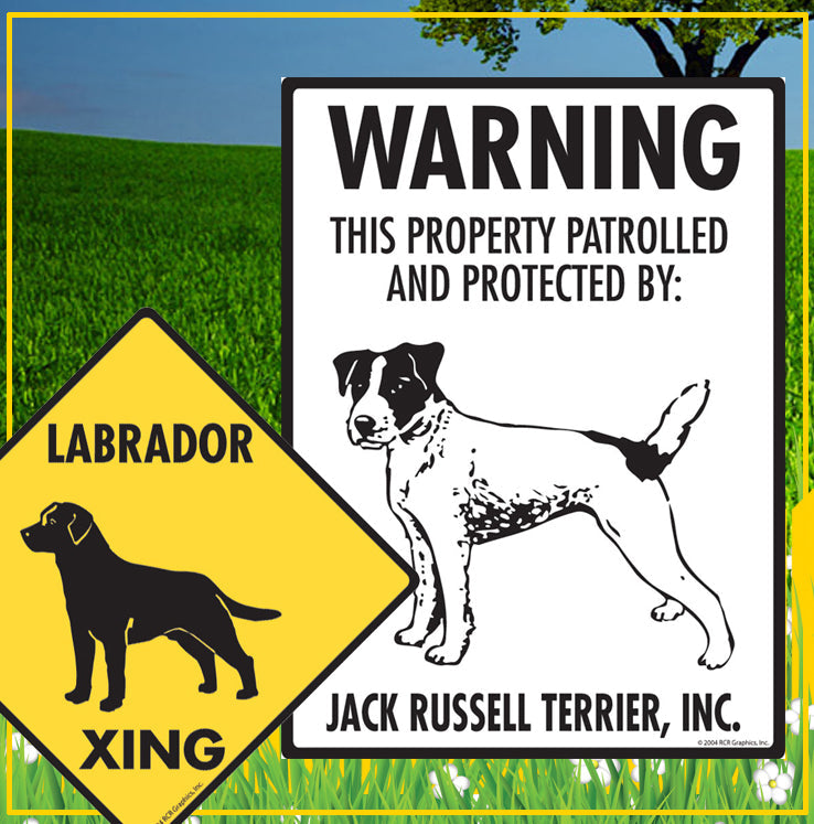 Irish Wolfhound to Labrador