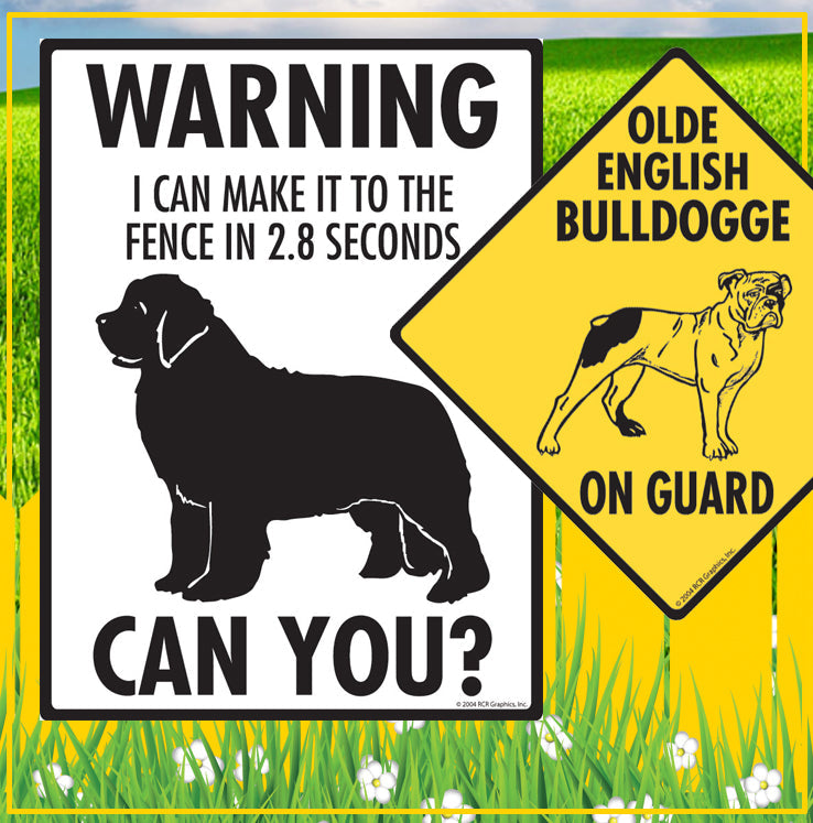 Newfoundland to Papillon