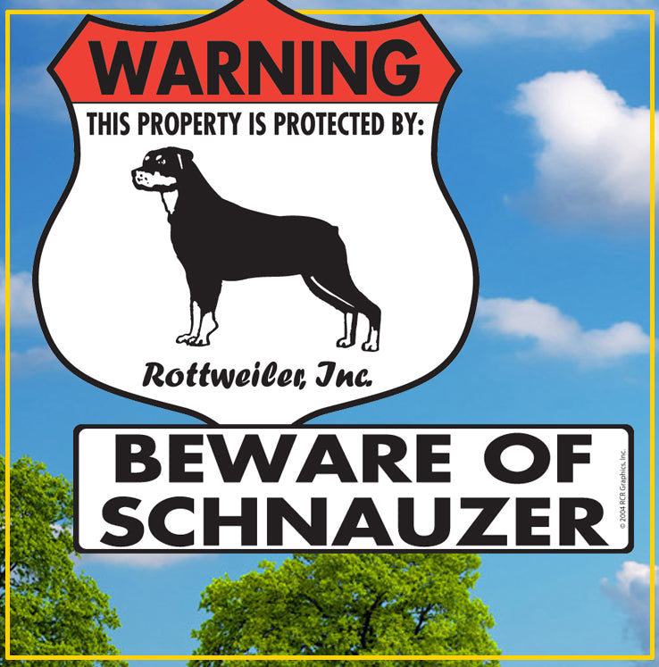 Puggle to Schnauzer