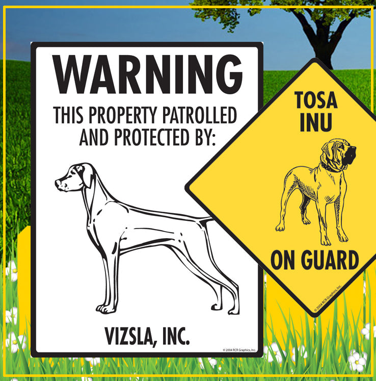 Smooth Fox Terrier to Vizsla