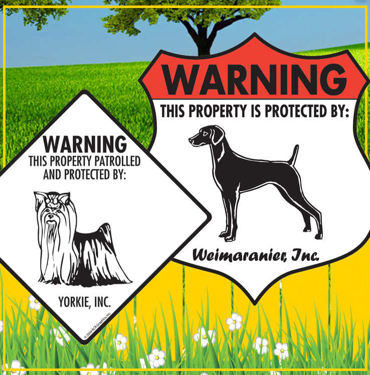 Weimaraner to Yorkshire Terrier