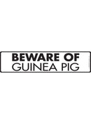 Beware Of Guinea Pig Sign or Sticker (12" x 3")-1