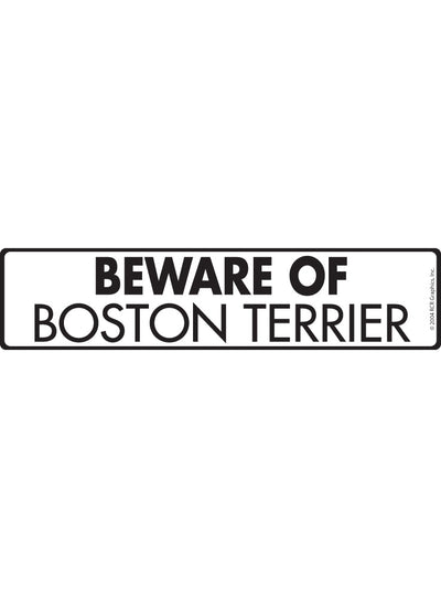 Boston Terrier