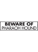 Beware Of Pharaoh Hound Sign or Sticker (12" x 3")-1