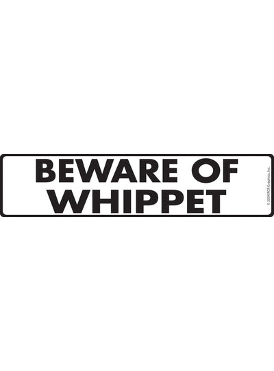 Whippet