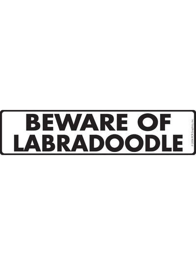 Labradoodle