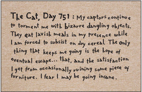 The Cat, Day 751 Doormat