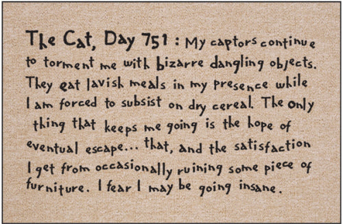 The Cat, Day 751 Indoor/Outdoor Doormat