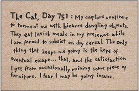 The Cat, Day 751 Indoor/Outdoor Doormat