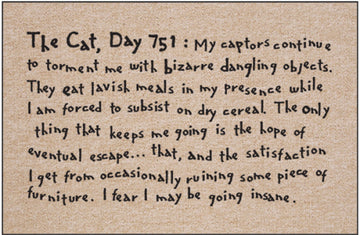 The Cat, Day 751 Indoor/Outdoor Doormat - Woven Olefin