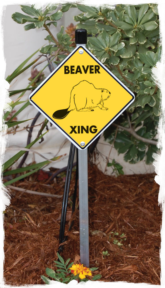 Beaver Xing (Crossing) Animal Signs or Sticker