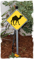 Warning Camel Animal Aluminum Sign or Vinyl Sticker - Weatherproof Novelty-5