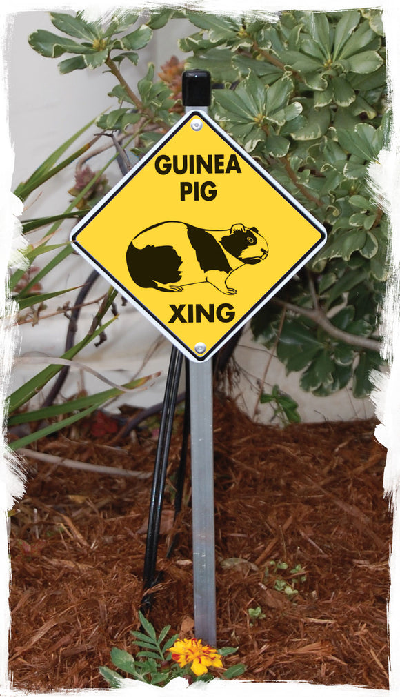 Guinea Pig Crossing Animal Aluminum Sign or Vinyl Sticker - Weatherproof Novelty