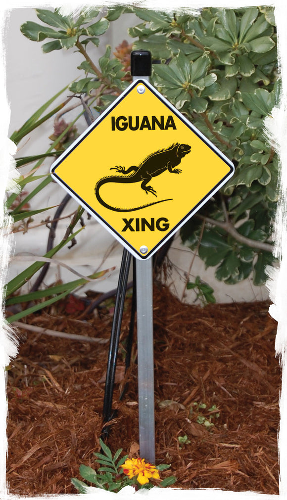 Iguana Crossing Aluminum Sign or Vinyl Sticker - Weatherproof Novelty