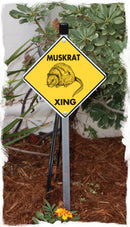 Muskrat Crossing Animal Aluminum Sign or Vinyl Sticker - Weatherproof Novelty-5