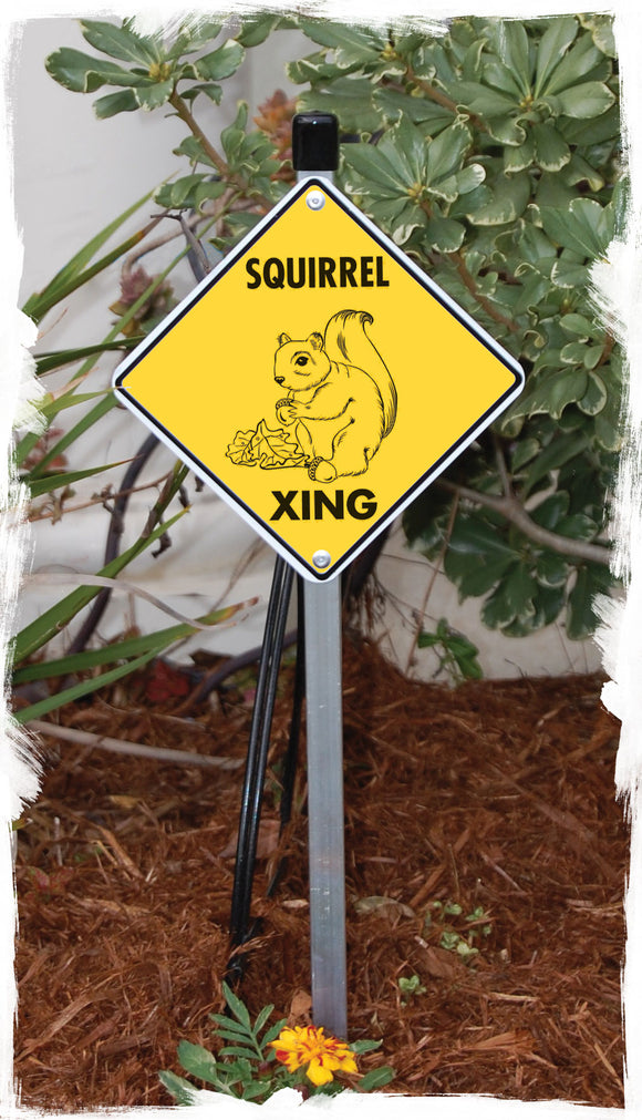 Squirrel Crossing Animal Aluminum Sign or Vinyl Sticker - Weatherproof Novelty