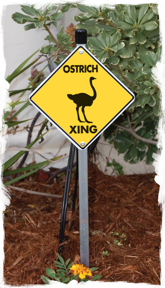 Ostrich Crossing Aluminum Sign or Vinyl Sticker - Weatherproof Novelty