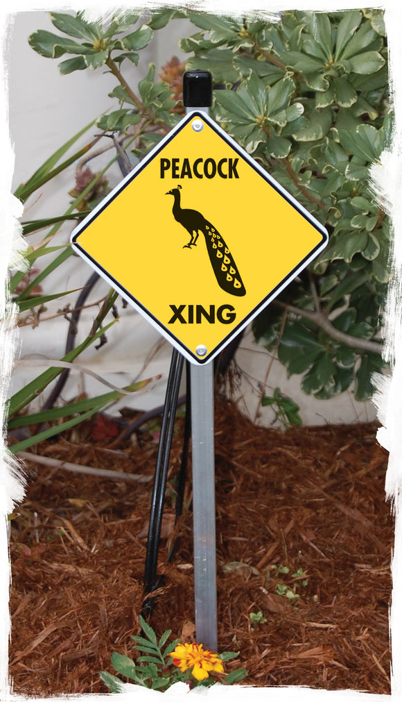 Peacock Crossing Aluminum Sign or Vinyl Sticker - Weatherproof Novelty