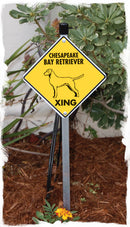Chesapeake Bay Retriever Xing (Crossing) Dog Signs & Sticker-5