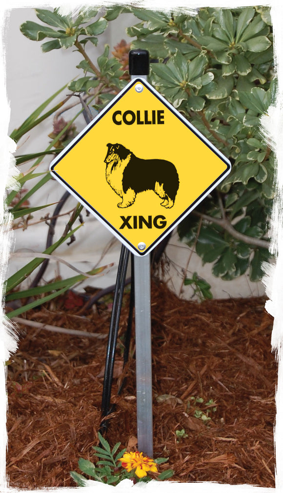 Collie Xing (Crossing) Dog Signs or Sticker