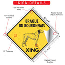 Braque du Bourbonnais Xing (Crossing) Dog Signs or Sticker-3