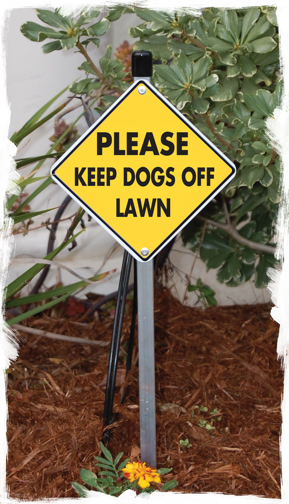 Please Keep Dogs Off Lawn Signs or Sticker - 0