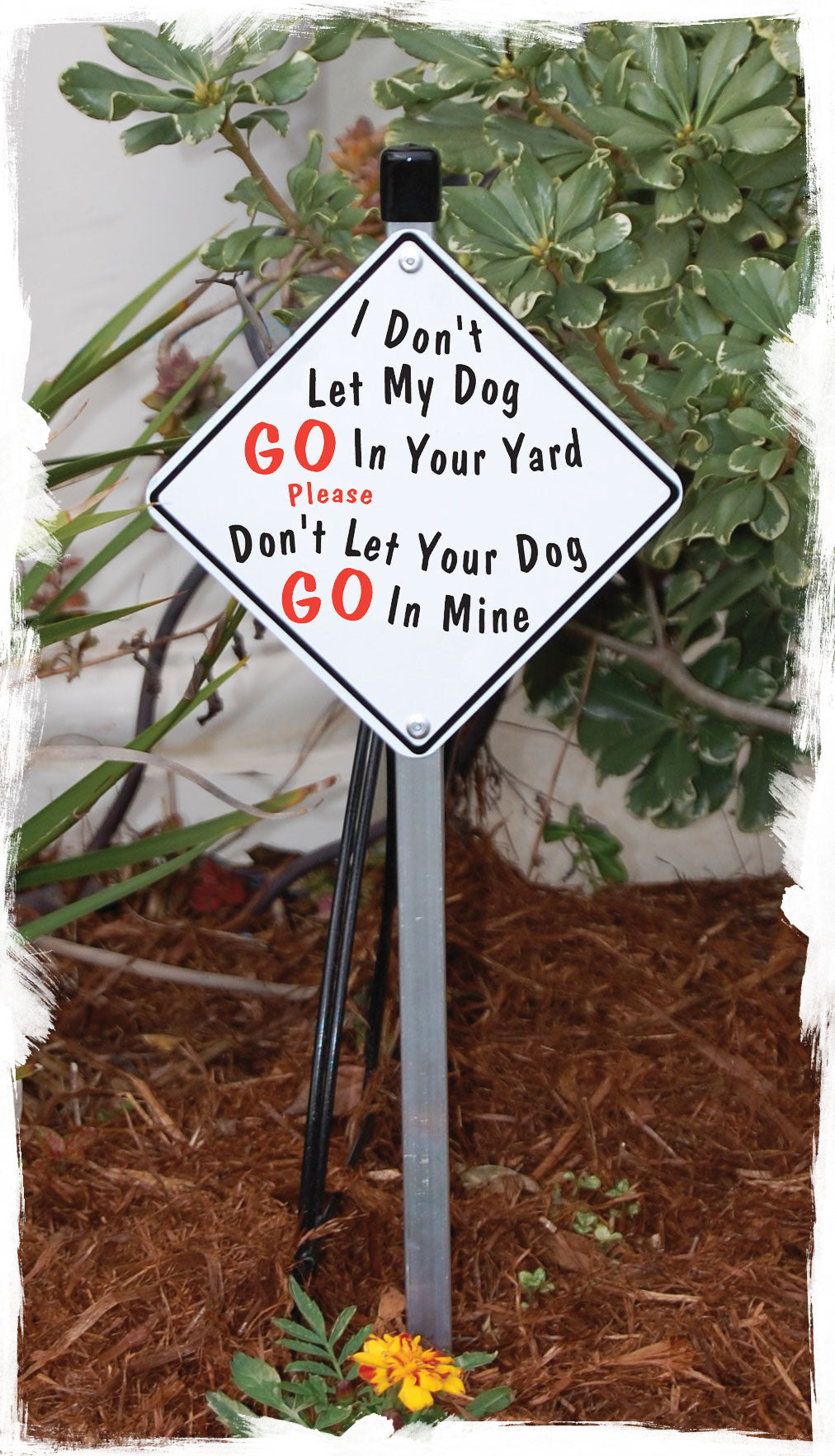 I Don't Let My Dog Go Dog Poop Signs or Sticker