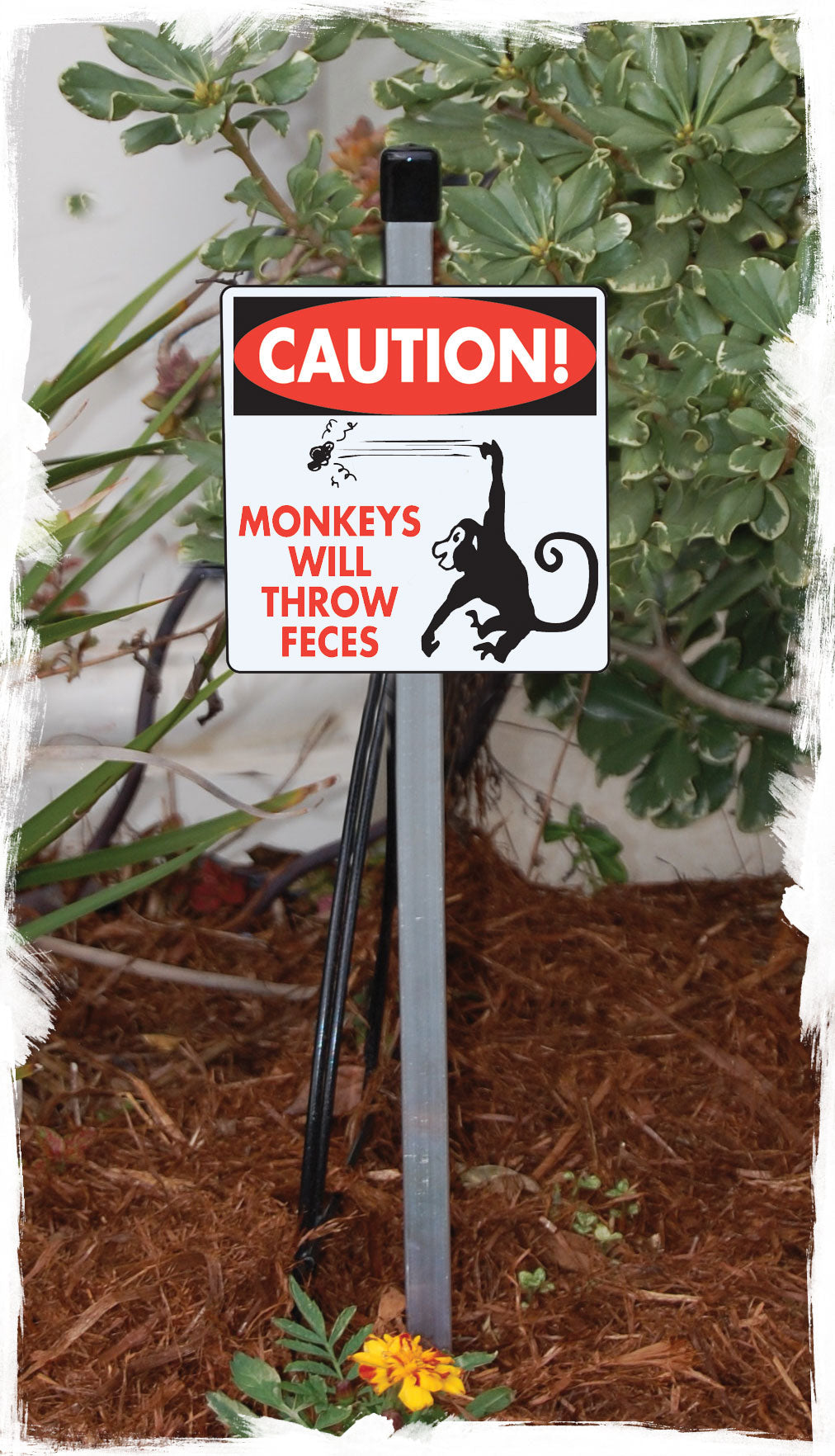 Caution! Monkeys Will Throw Feces Signs or Sticker