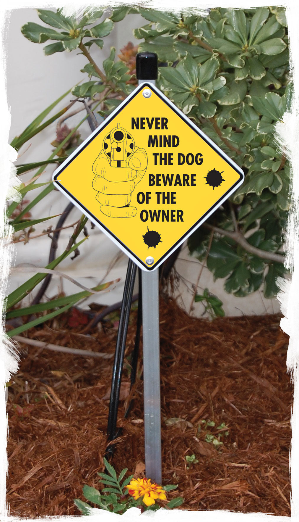 Nevermind the Dog Beware of the Owner Signs or Sticker