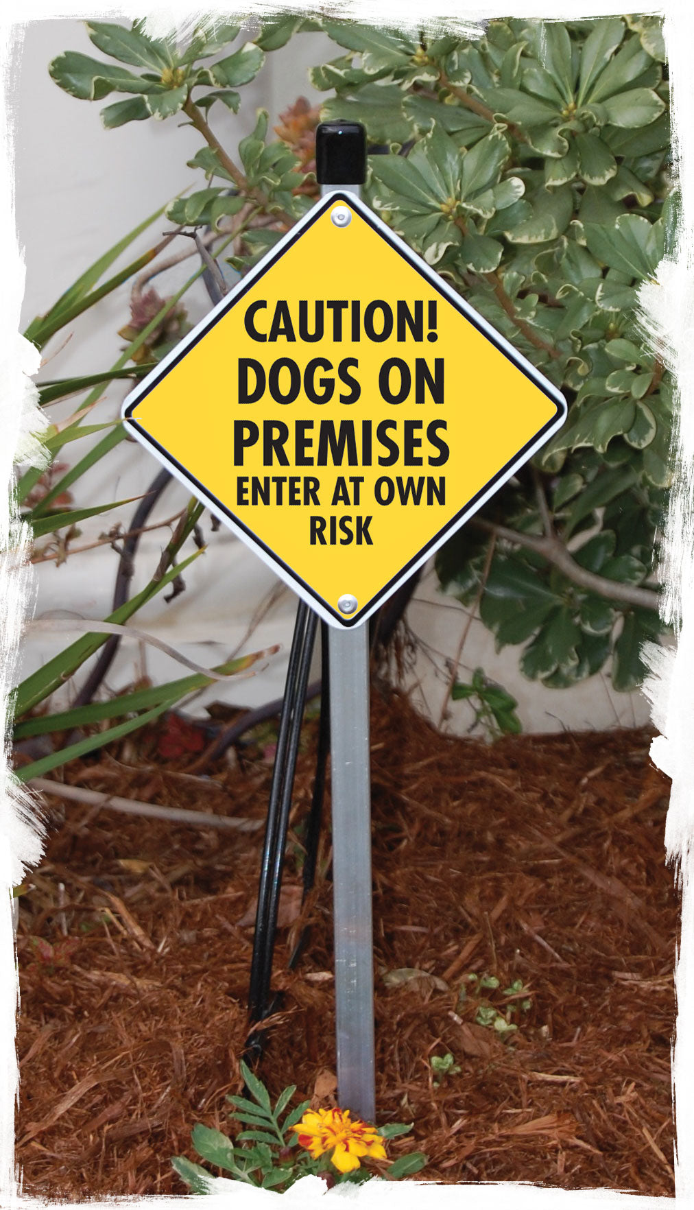 Caution! Dogs on Premises - Enter Own Risk Signs or Sticker