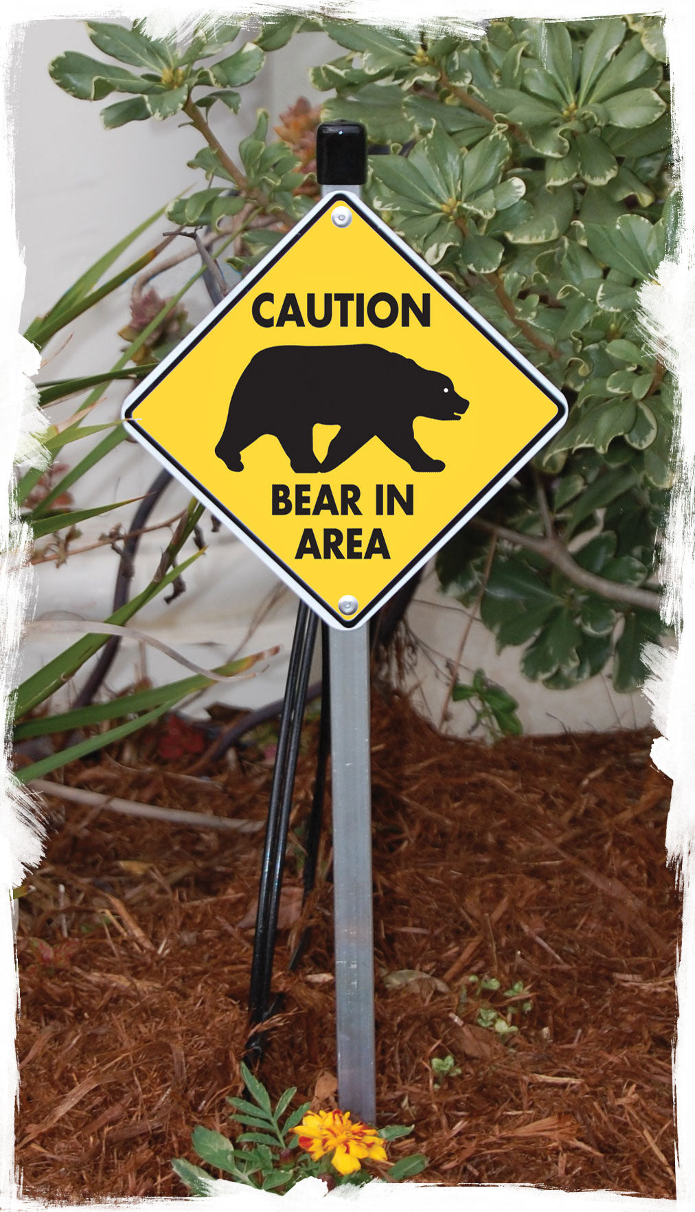 Caution! Bear In Area Signs or Sticker