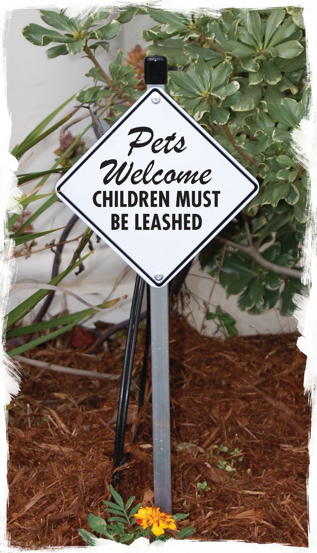 Pets Welcome - Children Must Be Leashed Signs or Sticker