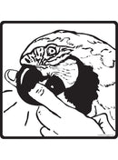 Parrot Biting Finger Sign or Sticker