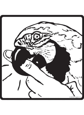 Parrot Biting Finger Sign or Sticker