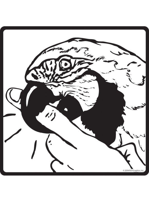 Parrot Biting Finger Sign or Sticker