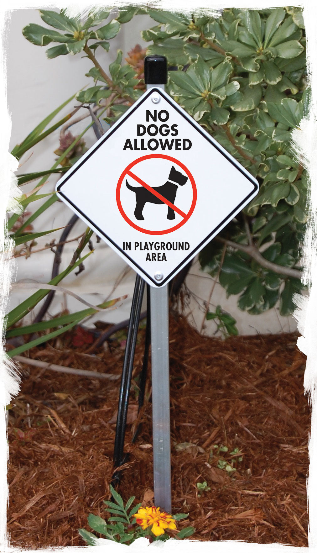 No Dogs Allowed in Playground Area Signs or Sticker
