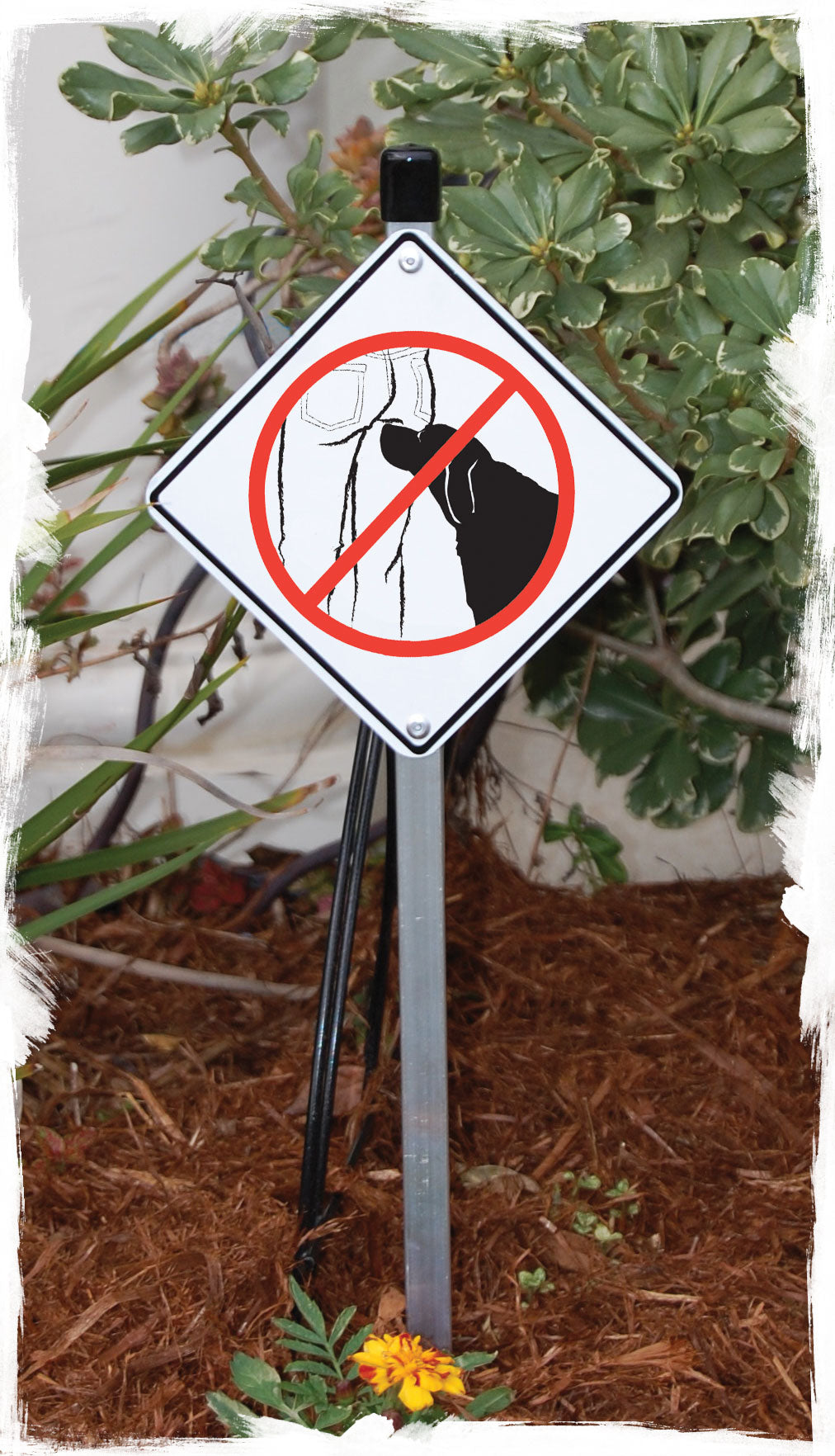 No Butt Sniffing Dog Signs or Sticker