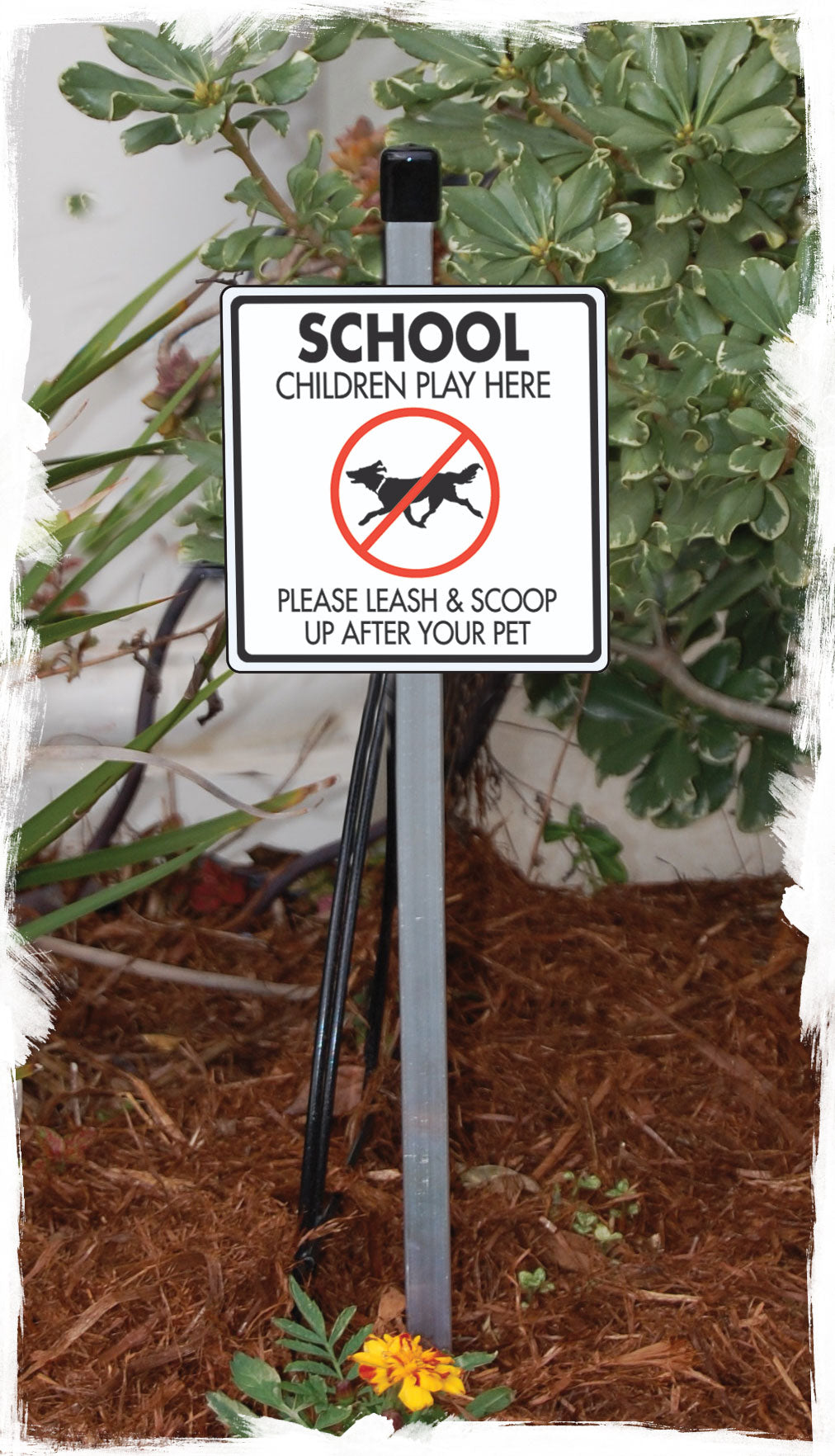 School Children Play Here Dog Poop Signs or Sticker