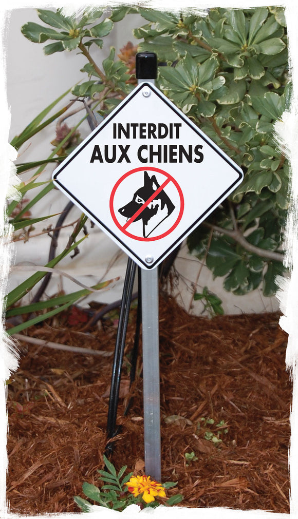 Interdit Aux Chiens (No Dogs Allowed) Signs or Sticker