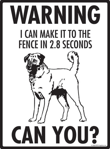 Anatolian Shepherd - Warning! Fence Sign