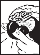Parrot Biting Finger Sign