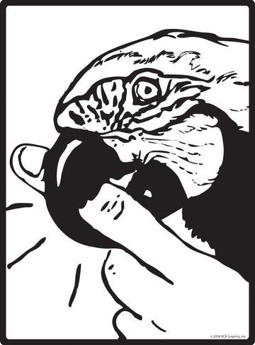 Parrot Biting Finger Sign