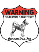 Canaan Dog! Property is Protected Badge Sign or Sticker-1