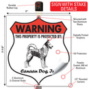 Canaan Dog! Property is Protected Badge Sign or Sticker-4
